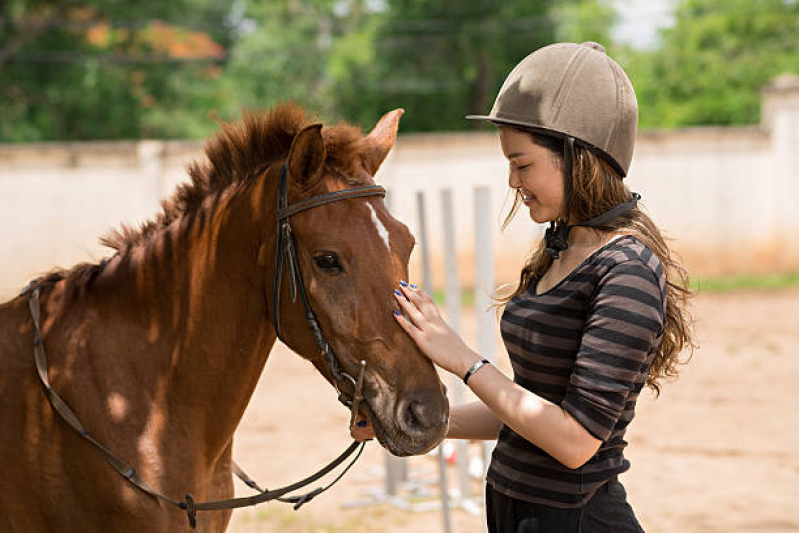 Clínica de Equoterapia em Pacientes com Paralisia Cerebral Araras - Terapia com Cavalos para Deficientes