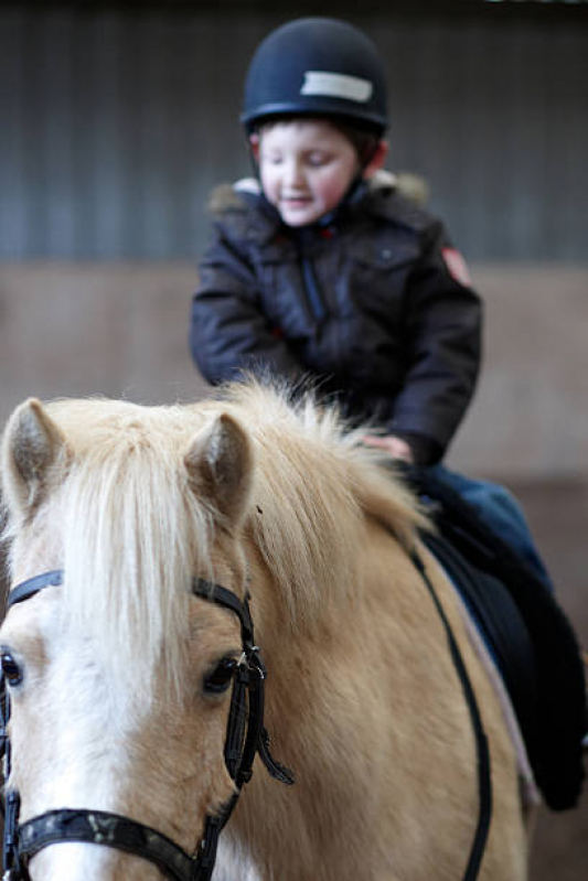 Equoterapia em Pacientes com Paralisia Cerebral Marcar Rincão - Terapia com Cavalos