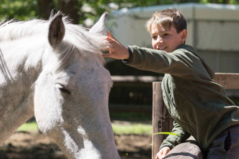Equoterapia para Paralisia Cerebral Marcar Itapira - Terapia com Cavalos