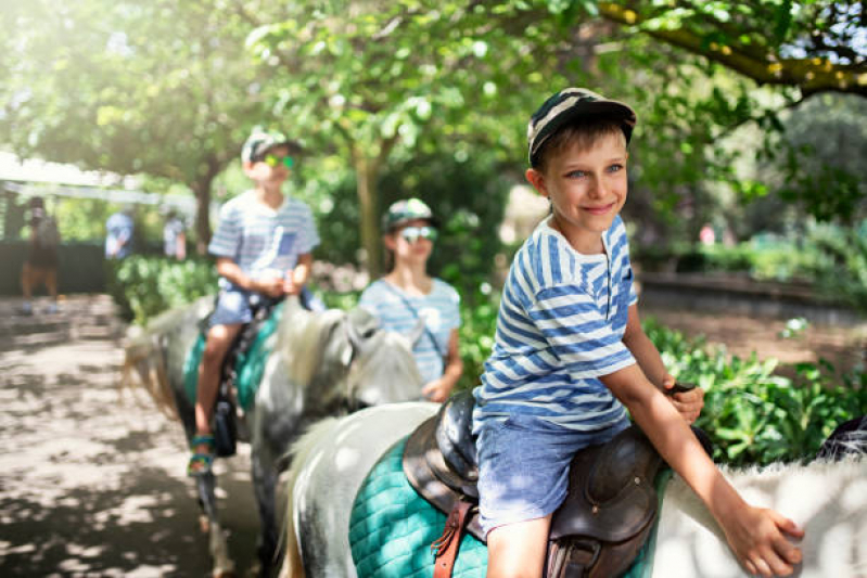 Equoterapia Paralisia Cerebral Iperó - Terapia com Cavalos para Deficientes