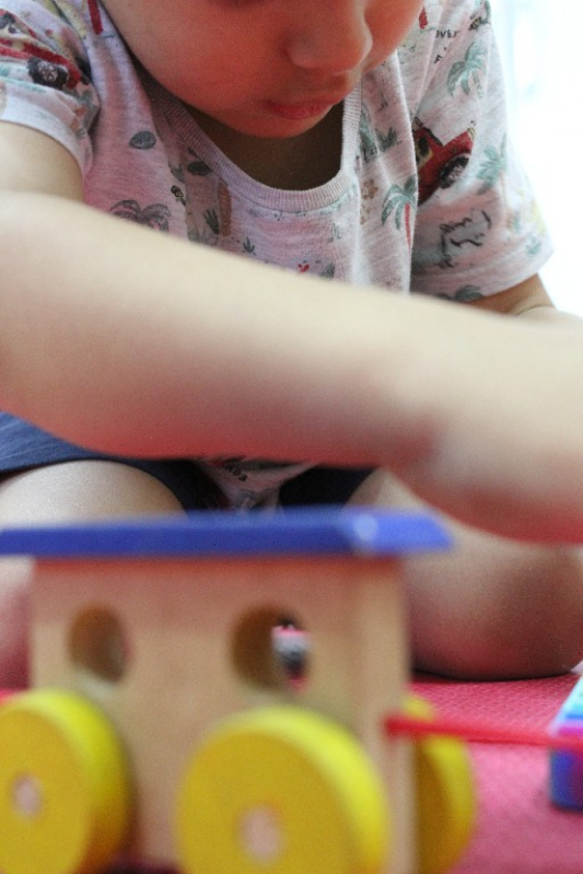 Onde Marcar Terapia Ocupacional Fisioterapia Araçoiaba da Serra - Terapia Ocupacional para Crianças