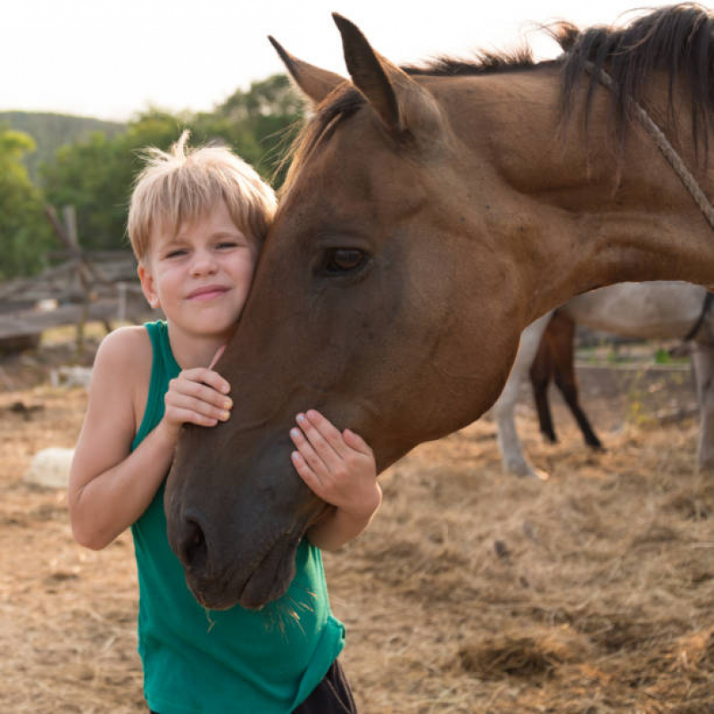 Terapia com Cavalos Marcar Tapiratiba - Equoterapia para Síndrome de Down