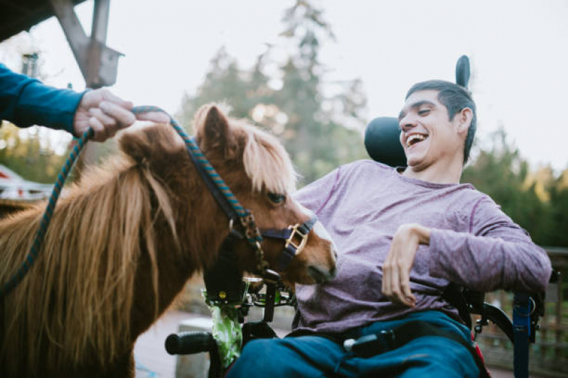 Terapia com Cavalos para Deficientes Marcar Descalvado - Equoterapia para Deficientes