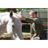 clínica de terapia com cavalos para autismo Amparo