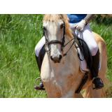 clínica de terapia com cavalos para deficientes Itapira