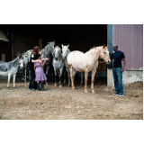 terapia com cavalos para autismo Aparecida do Norte