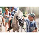 terapia com cavalos para deficientes Jaú